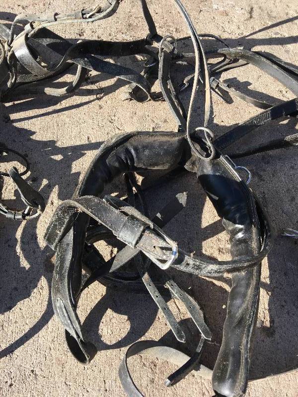 lot 207 image: leather single driving harness