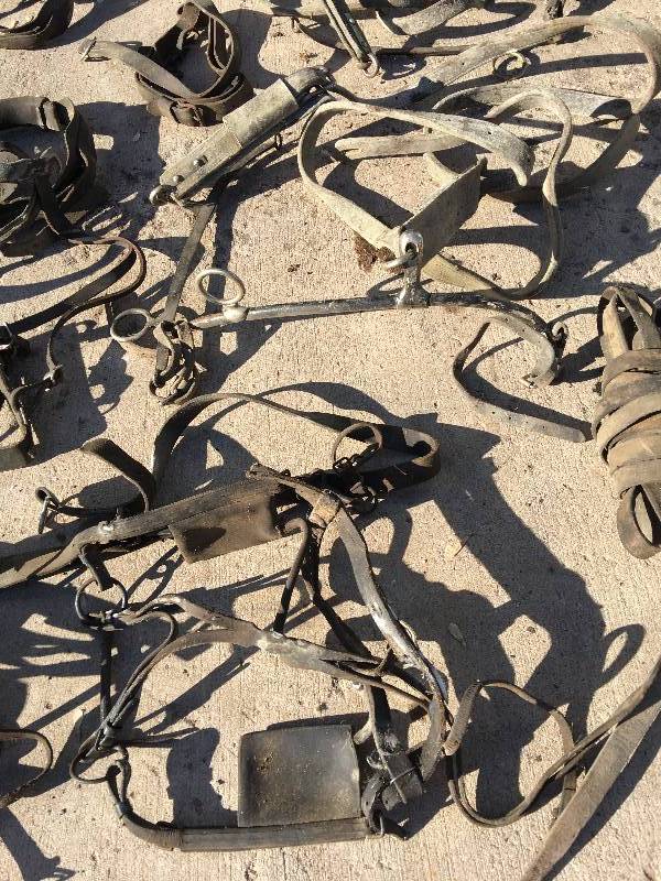 lot 208 image: leather double driving harness