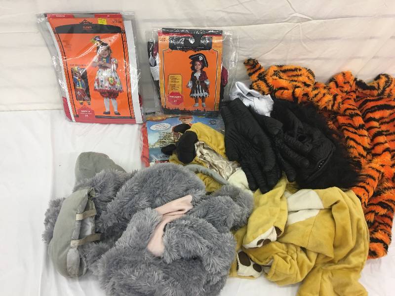 lot 36 image: halloween costumes