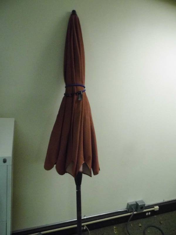 lot 1 image: Patio Umbrella