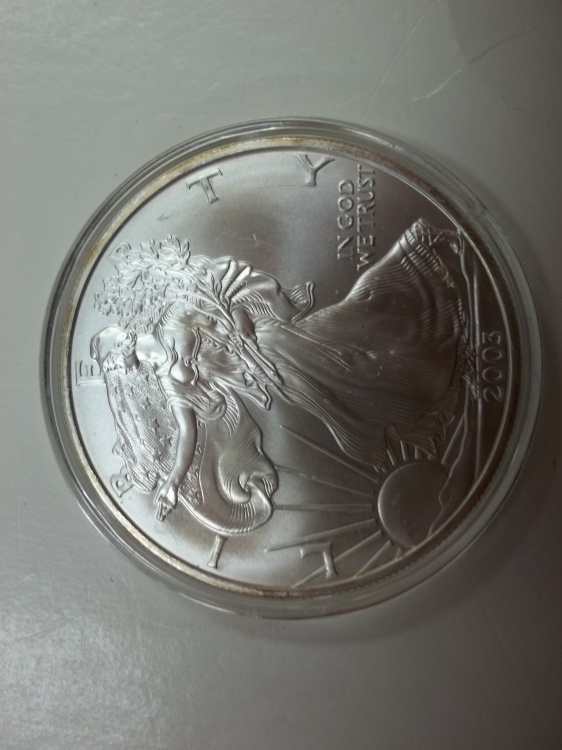 lot 5 image: Silver American Eagle 1 Oz. Fine Silver Year 2003 Coin in case