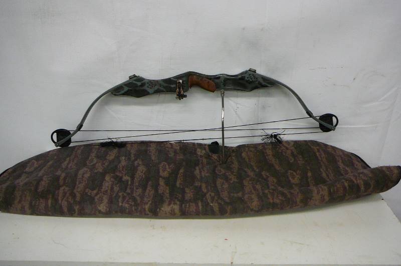 Bow With Case