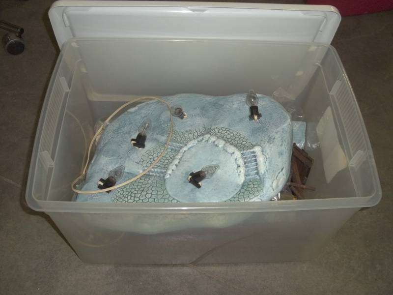 lot 29 image: Clear Tote with Christmas Village