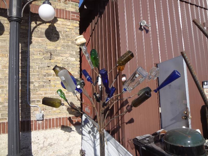 lot 5 image: Bottle Tree