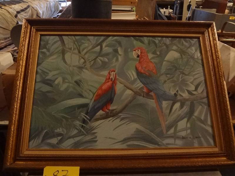lot 87 image: Parrot Oil