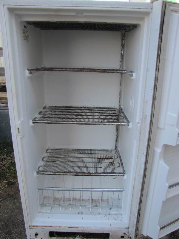 Upright Freezer