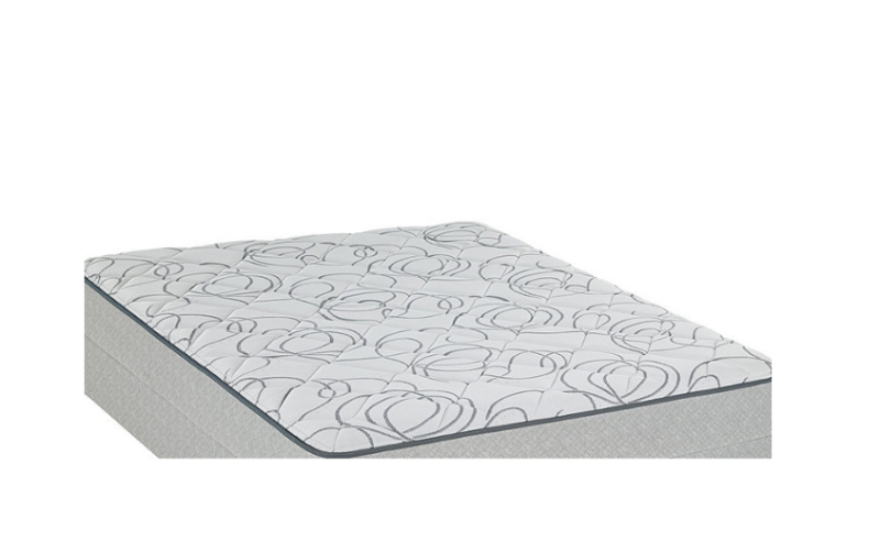 Brand New Sealy Tuberose Firm Twin Mattress