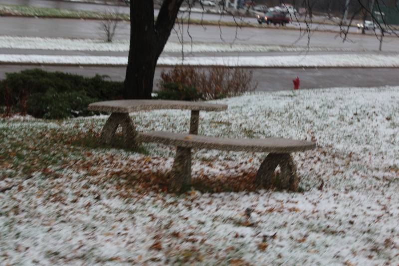 lot 2441 image: Lot OF (4) Cement Benches