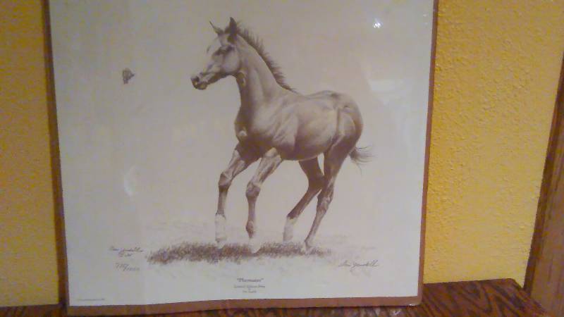 lot 122 image: Don Yandell Numbered Print, Playmates, Butterfly Horse