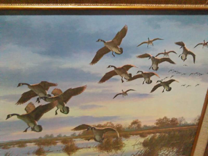 lot 176 image: Majestic Descent Print, Goose Print