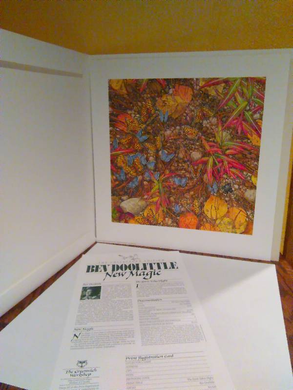 lot 209 image: Bev Doolittle Spirit Takes Flight,  Signed
