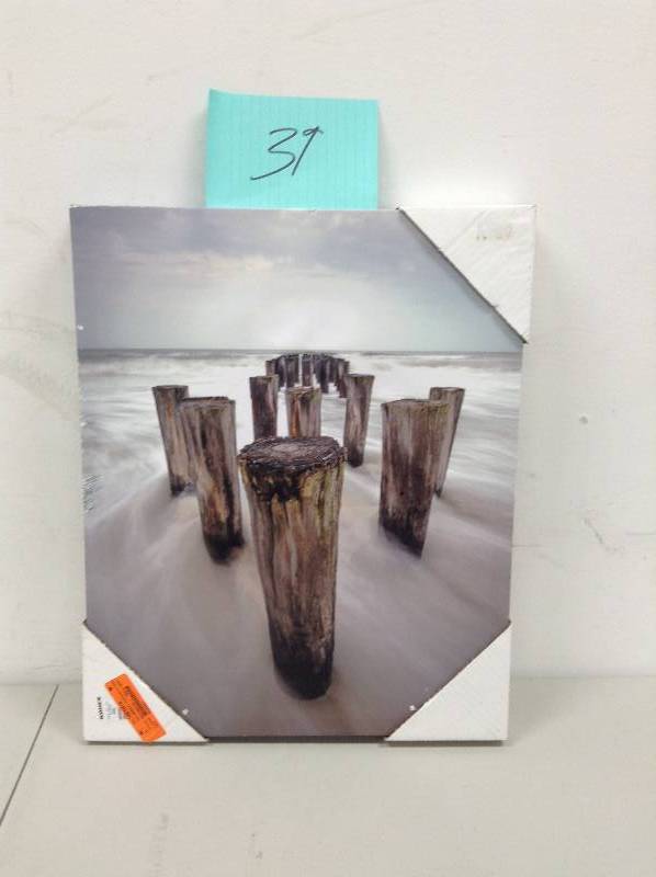 lot 39 image: Tropical Storm Debbie Canvas