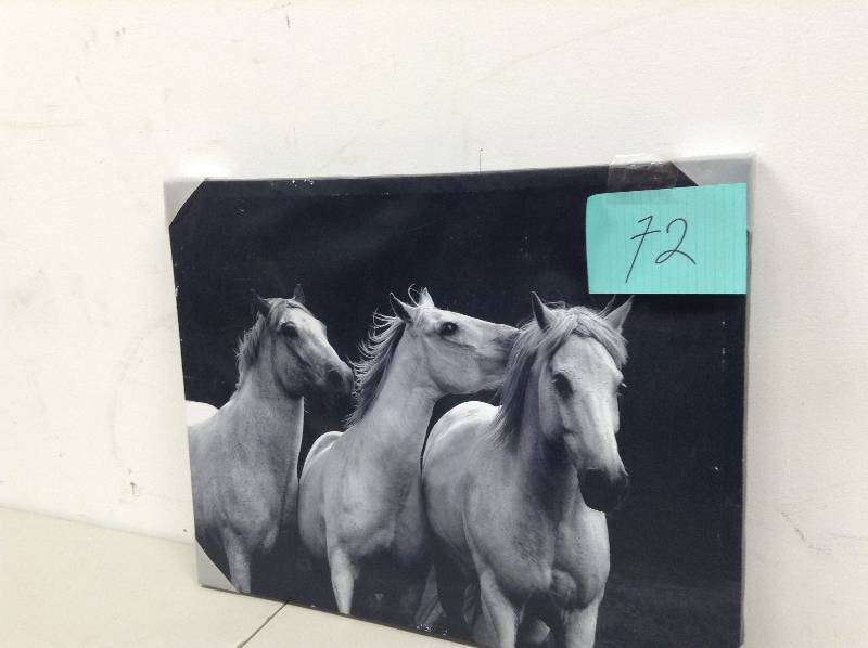 lot 72 image: Band Of Horses Wall Canvas