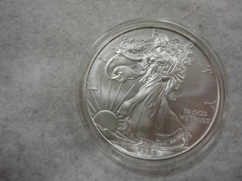 Silver Eagle Dollar