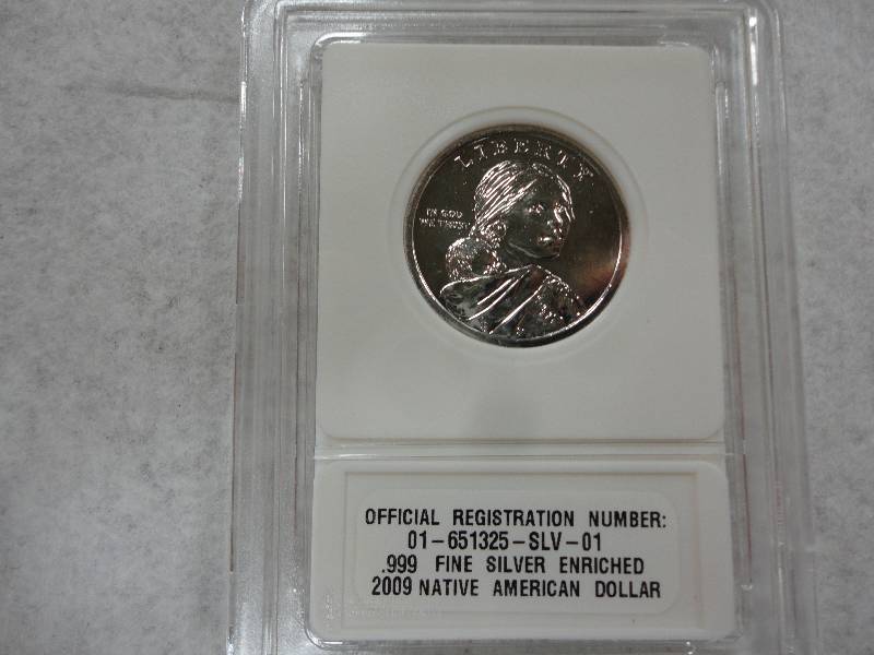 2009 Native Ammerican Dollar