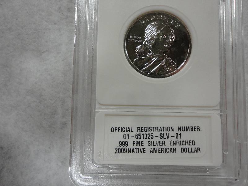 2009 Native Ammerican Dollar