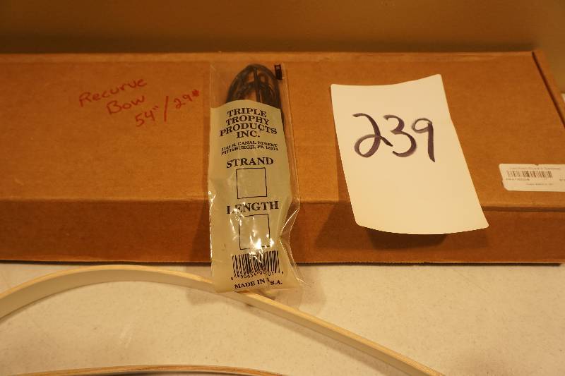 lot 239 image: Ragin WildKat Jr Recurve Bow