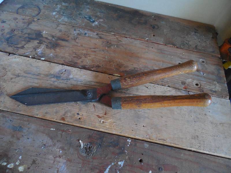 lot 23 image: PRUNING SHEIRS