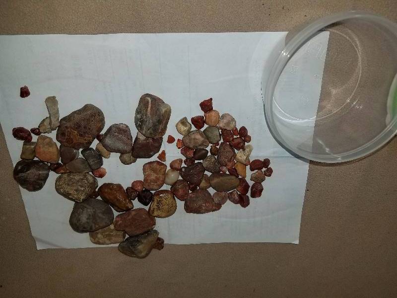 lot 6 image: Agates and Rock specimens