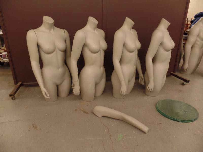 Female Torsos with Arms