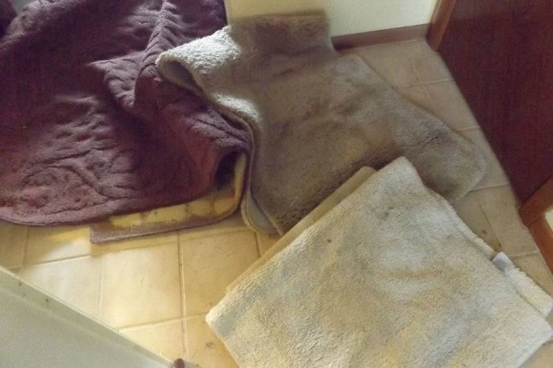 lot 475 image: Throw rugs