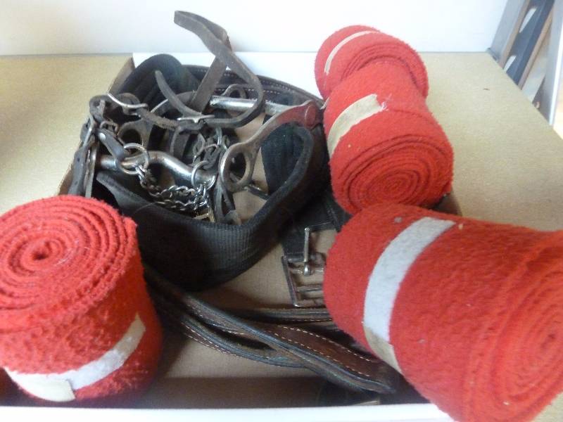 Horse Tack Lot