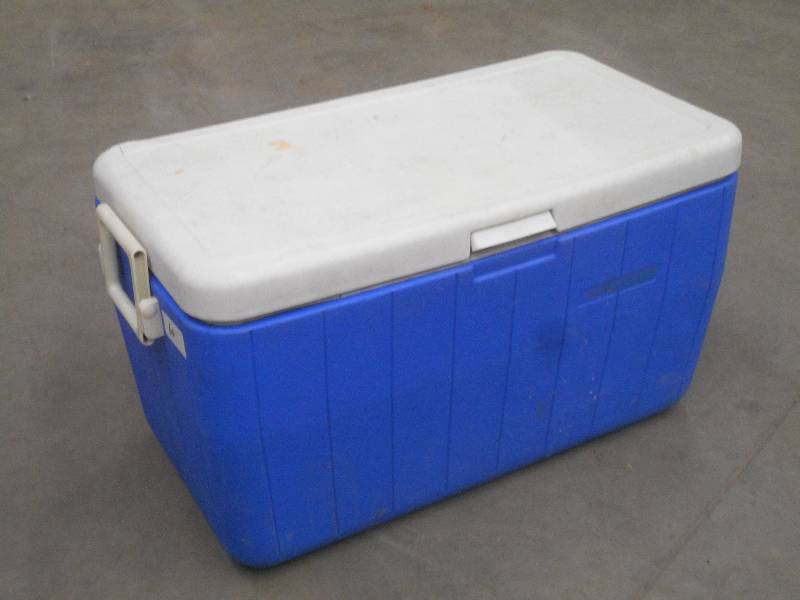 lot 60 image: Coleman 34 Camp Cooler ...