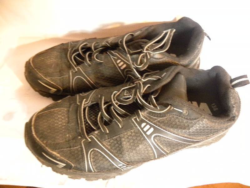 mens Starter shoes