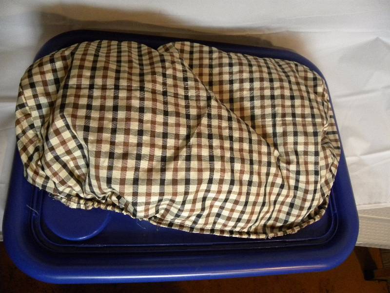 lap table