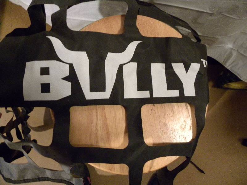 Bully tailgate net