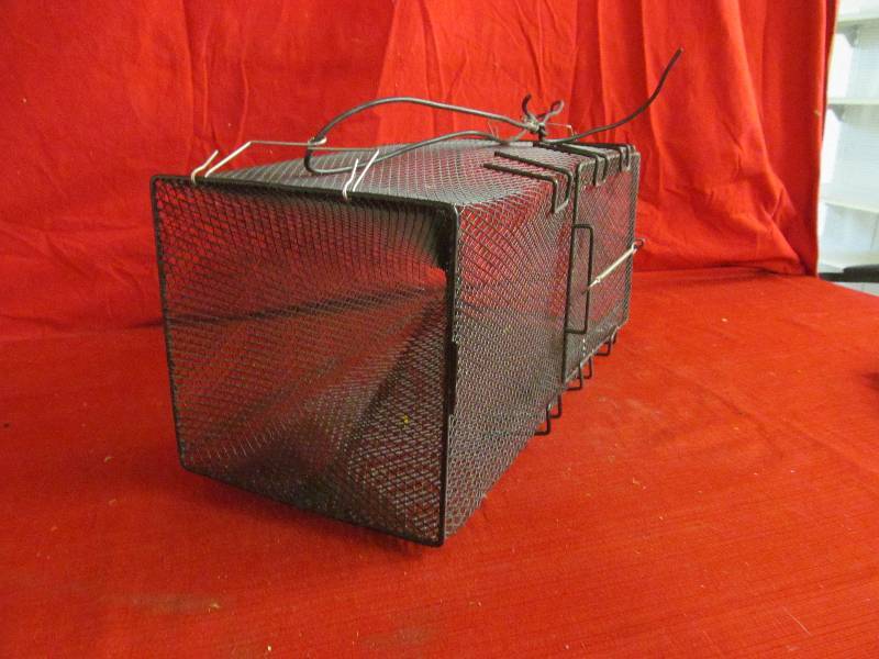 square minnow trap