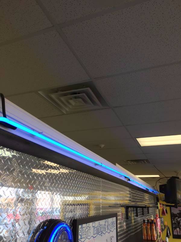 20 Run Blue Neon Strips