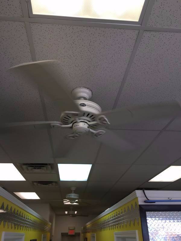 Hunter Ceiling Fans (Set of 6)