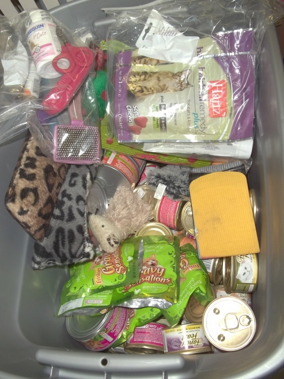 lot 114 image: 10 Gallon tote of cat food, cat grooming supplies, cat treats and cat toys