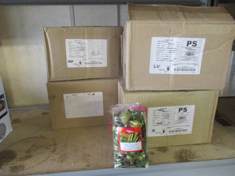 4 - 6 piece potpourri