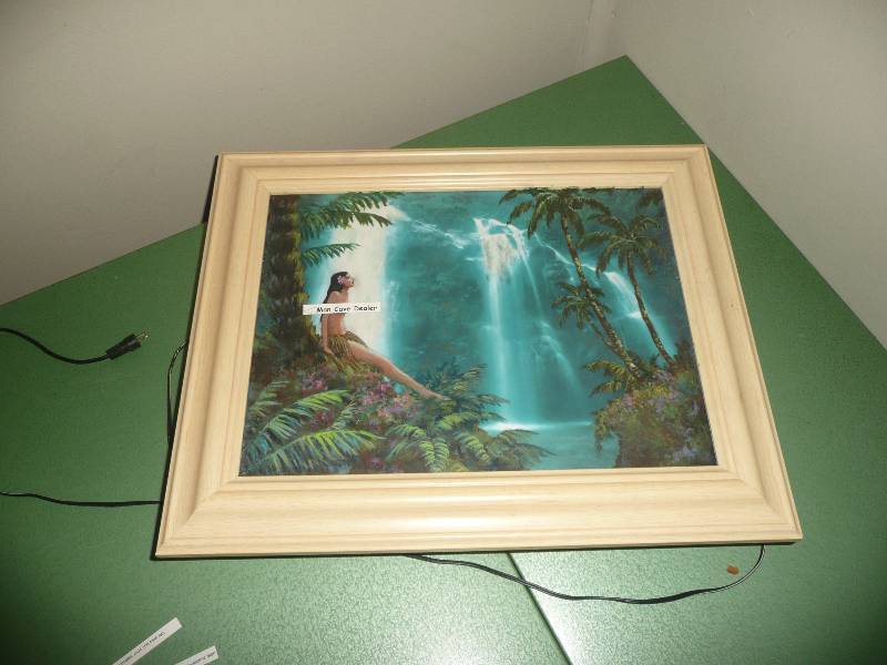 Vintage Art Light - Woman In Paradise - Good Condition - Very Cool Piece - FramedLighted-Needs Cord  - Approx 17in wide by 14in high