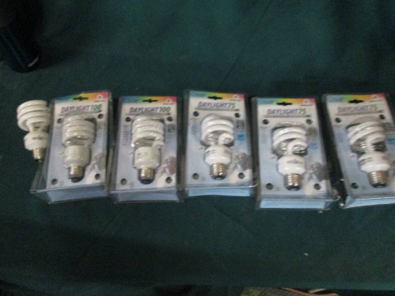 6 feit electric light bulbs ...