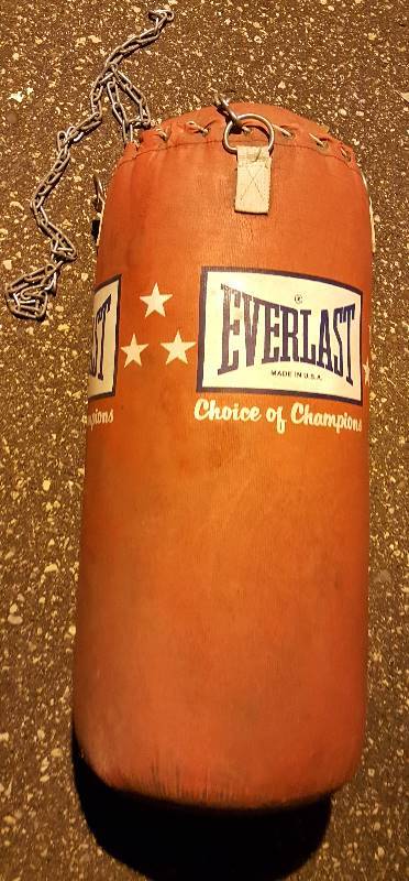 lot 13 image: Everlast punching bag