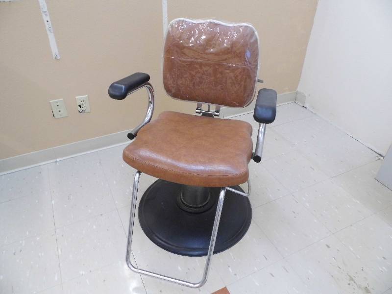 Salon Chair