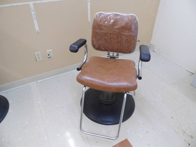 Salon Chair