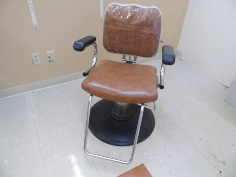 Salon Chair