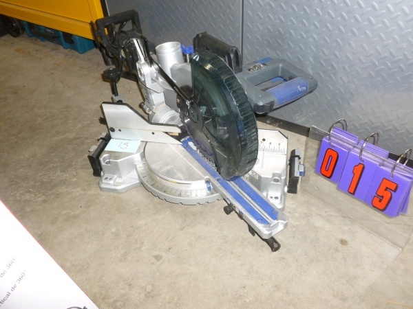 SnS Auctions # 238 Winter Consignment