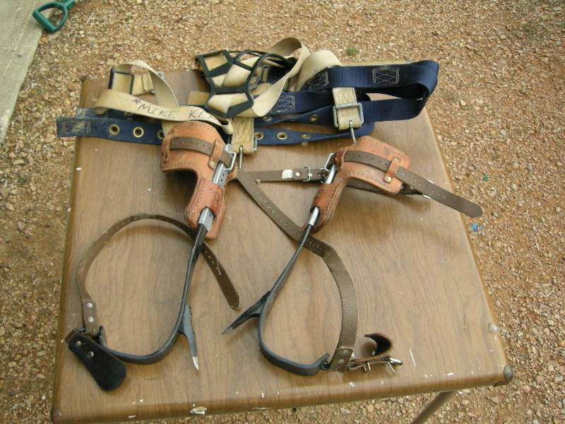 lot 60 image: Buckingham Climbing Spikes