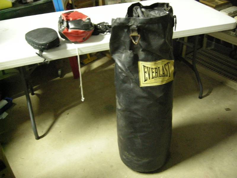 lot 85 image: Everlast Punching Bag  Speedbag