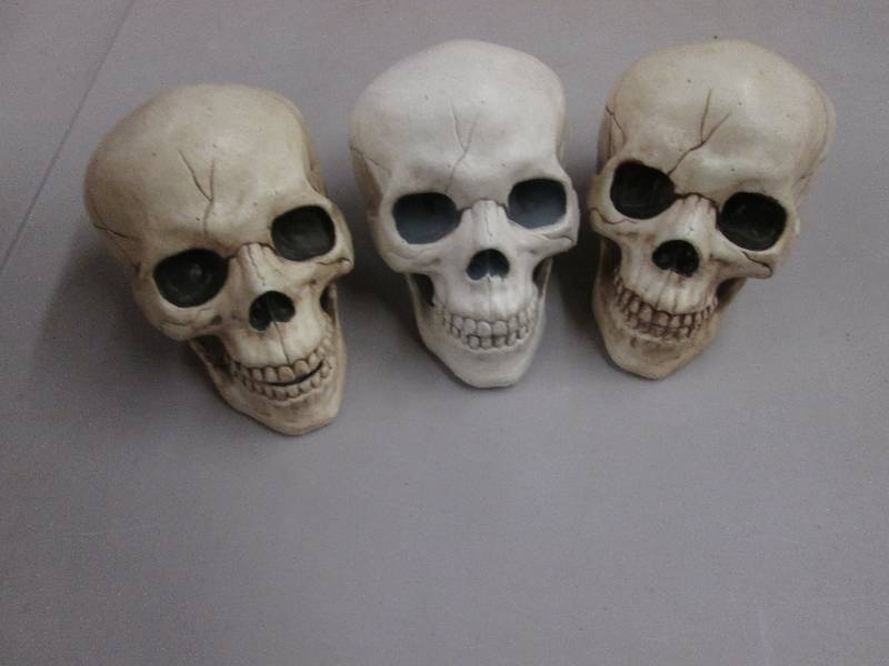 lot 68 image: 3 Detailed Plastic Skulls, ...