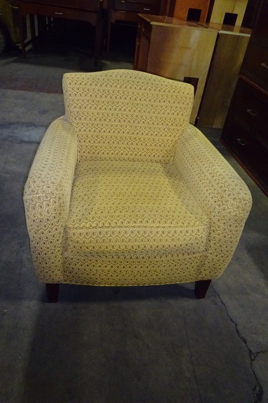 Cloth Arm Chair