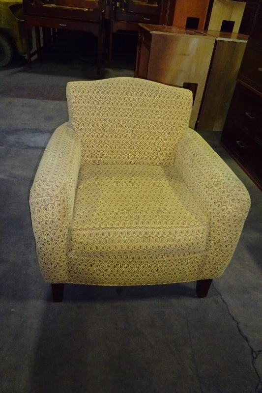 Cloth Arm Chair