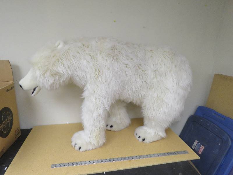 Polar Bear
