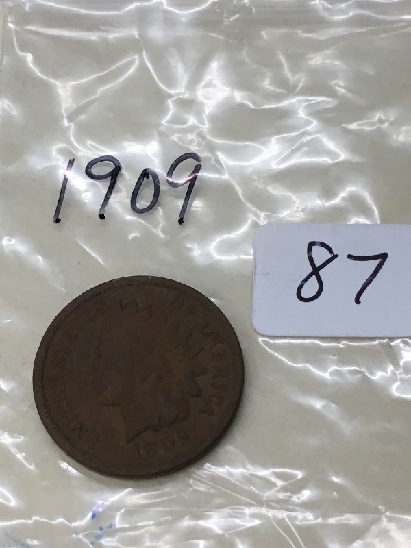 (1) 1909 Indian Head Cent ...