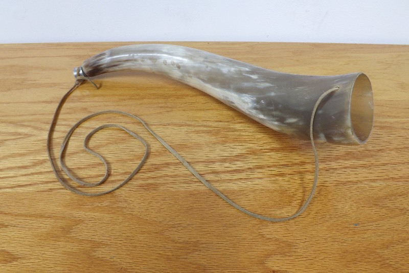 Vintage Large Animal Horn with Leather Strap